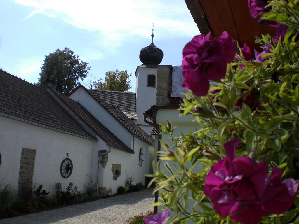 Penzion Cas Otel Český Rudolec Dış mekan fotoğraf