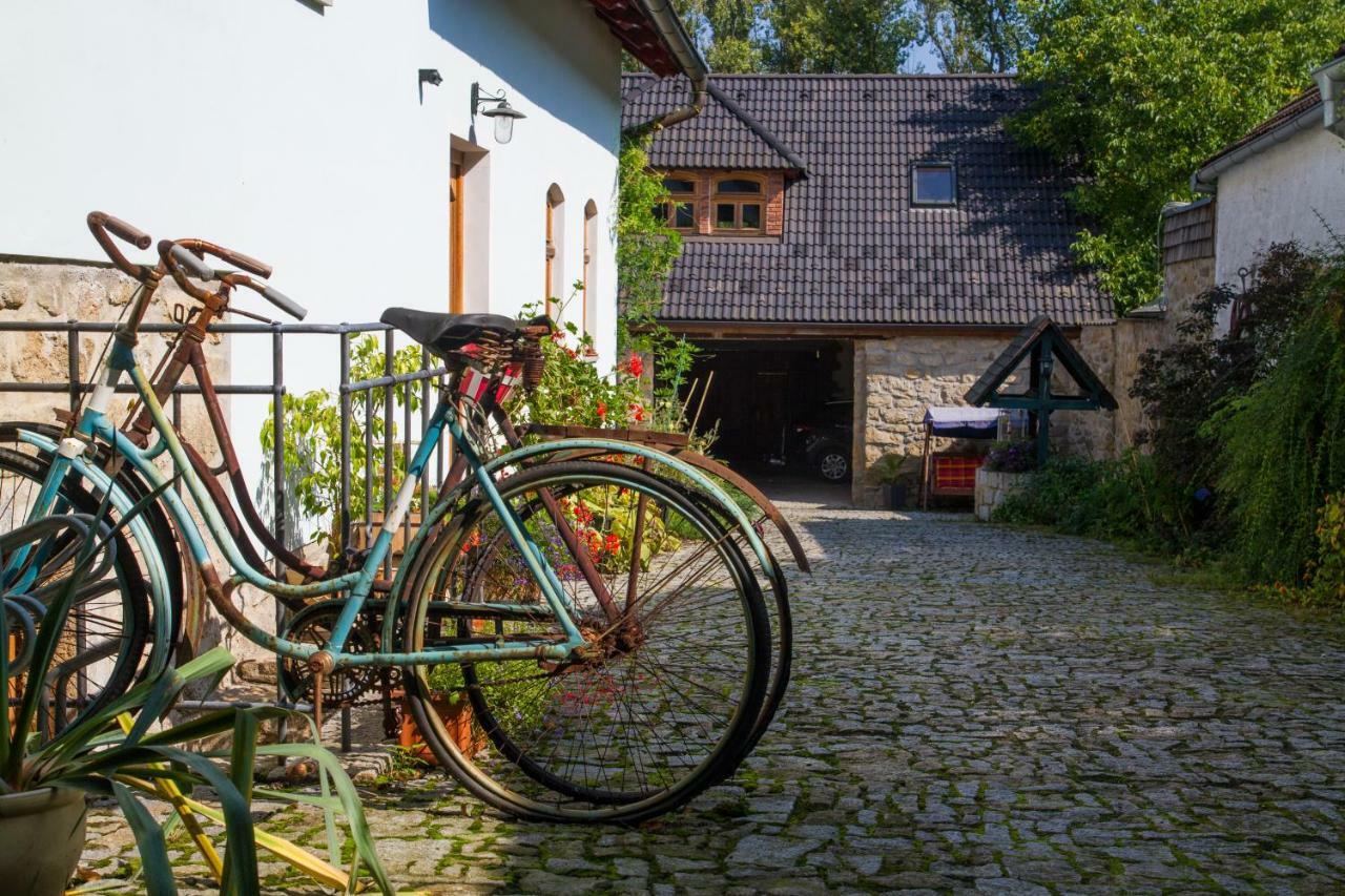 Penzion Cas Otel Český Rudolec Dış mekan fotoğraf